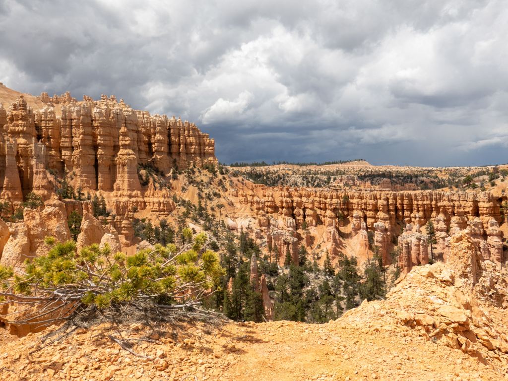 Ein weiter Blick über die Landschaft im Bryce Canyon mit aufziehenden Regenwolken am Himmel