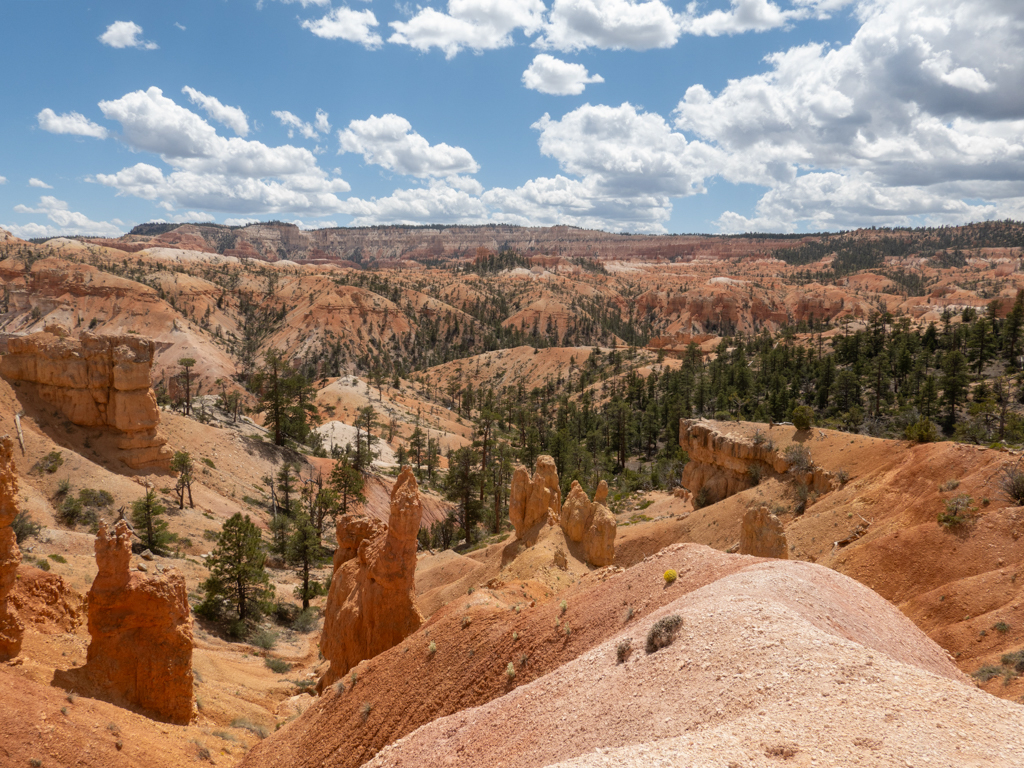 Blick über die Landschaft im Bryce Canyon mit aufziehenden Wolken am Himmel