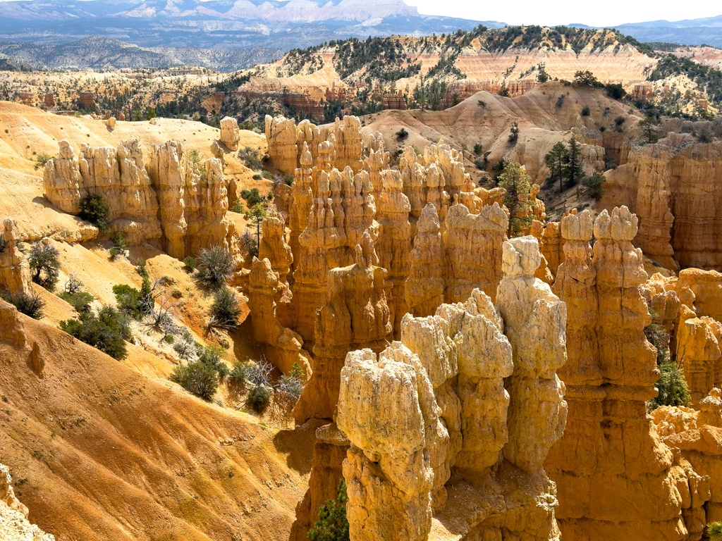 Zu Beginn unserer Wanderung durch den Bryce Canyon. Ein rötliches Farbenmeer an Gesteinssäulen