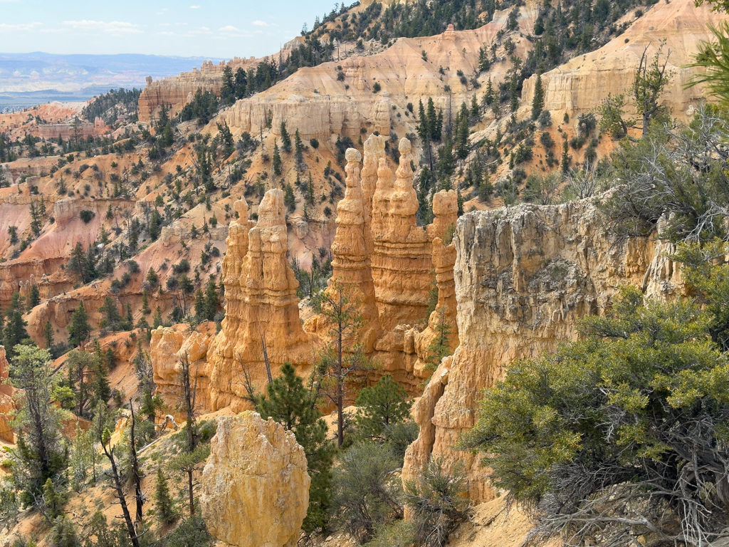 Ein rötliches Farbenmeer an Gesteinssäulen.Dahinter die Landschaft des Bryce Canyon