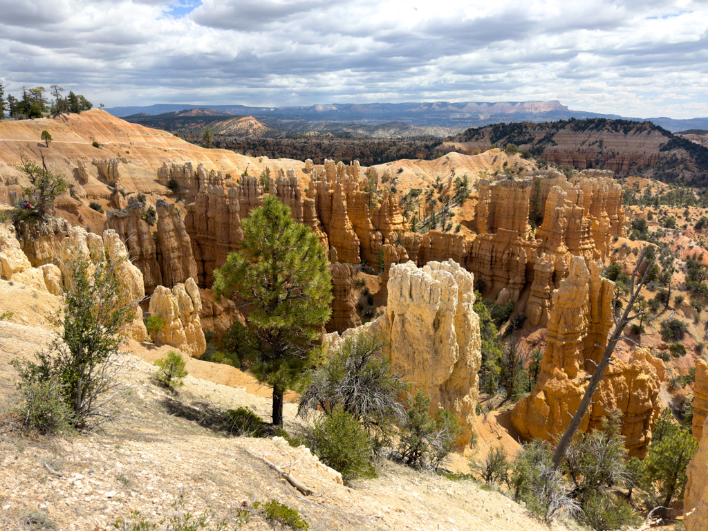 Zu Beginn unserer Wanderung durch den Bryce Canyon. Ein rötliches Farbenmeer an Gesteinssäulen