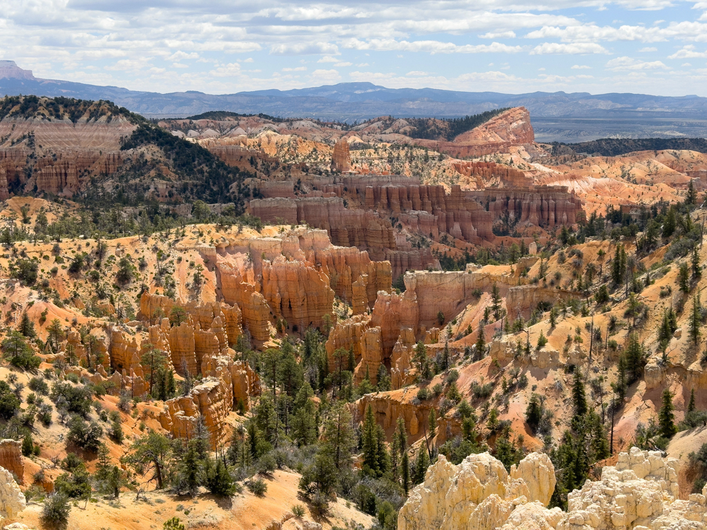 Ein rötliches Farbenmeer an Gesteinssäulen in der Landschaft des Bryce Canyon