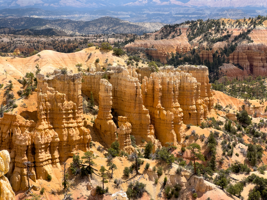 Ein rötliches Farbenmeer an Gesteinssäulen in der Landschaft des Bryce Canyon