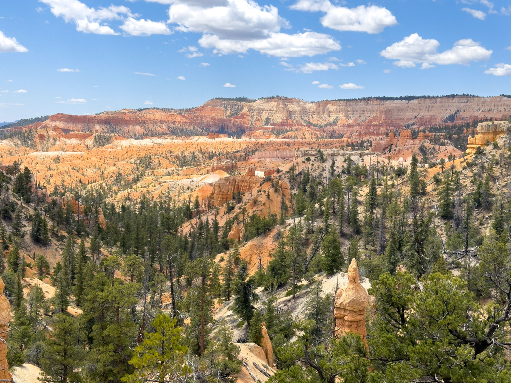 Ein rötliches Farbenmeer an Gesteinssäulen in der teilweise grünen Landschaft des Bryce Canyon