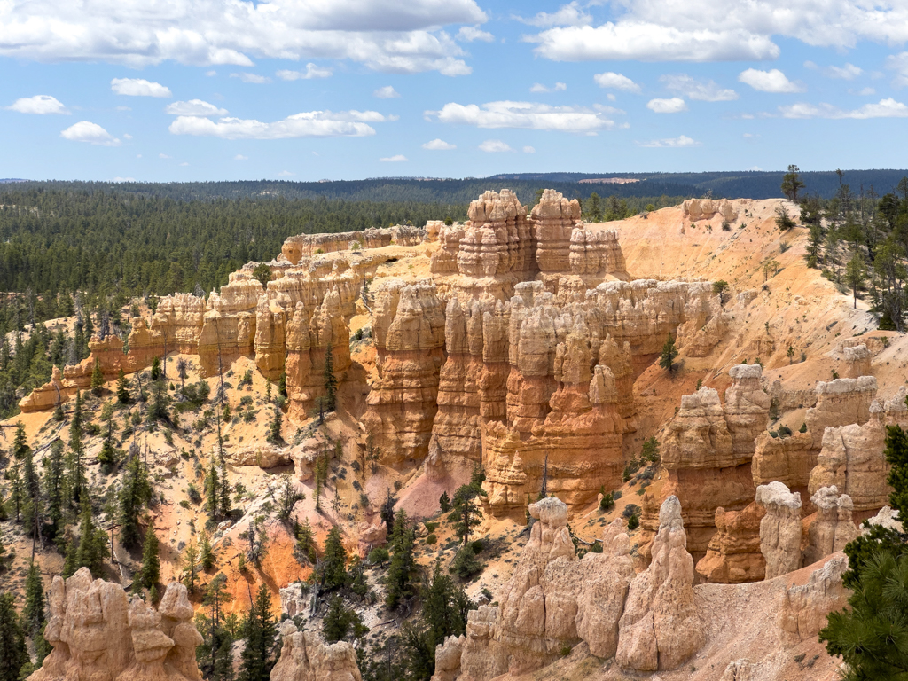 Ein rot weisses Farbenmeer an Gesteinssäulen in der teilweise grünen Landschaft des Bryce Canyon