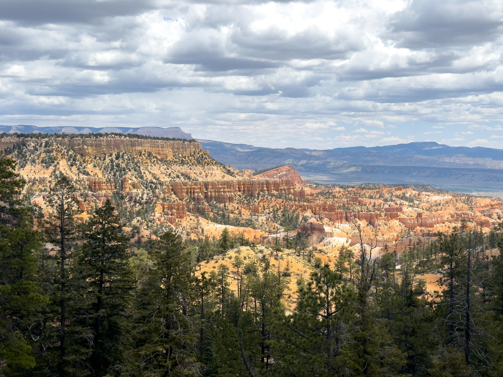 Die teilweise weite und grüne Landschaft des Bryce Canyon