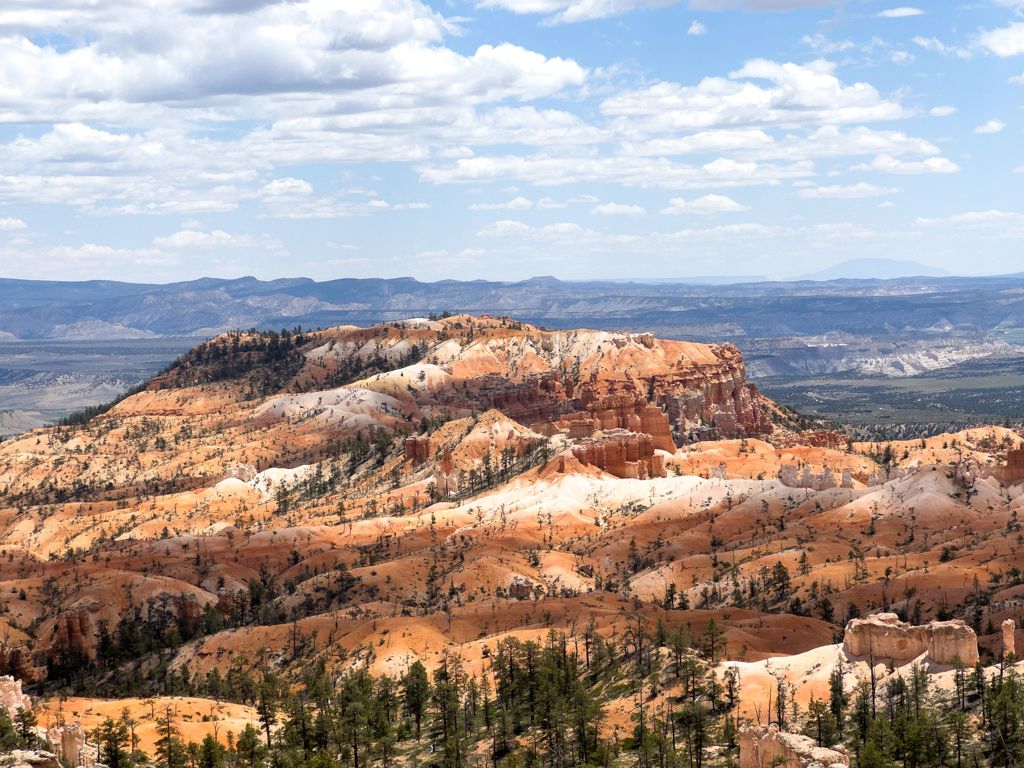 Ein rot weisses Farbenmeer an Gesteinsschichten in der teilweise grünen Landschaft des Bryce Canyon