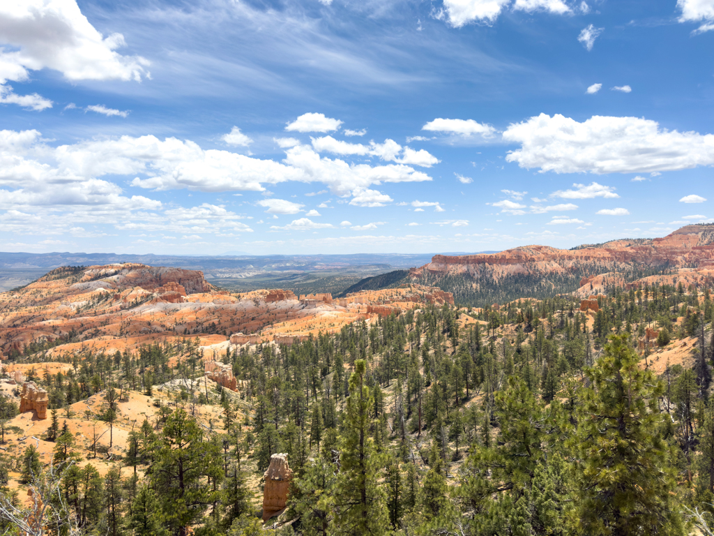 Ein rot weisses Farbenmeer an Gesteinsschichten in der teilweise grünen Landschaft des Bryce Canyon