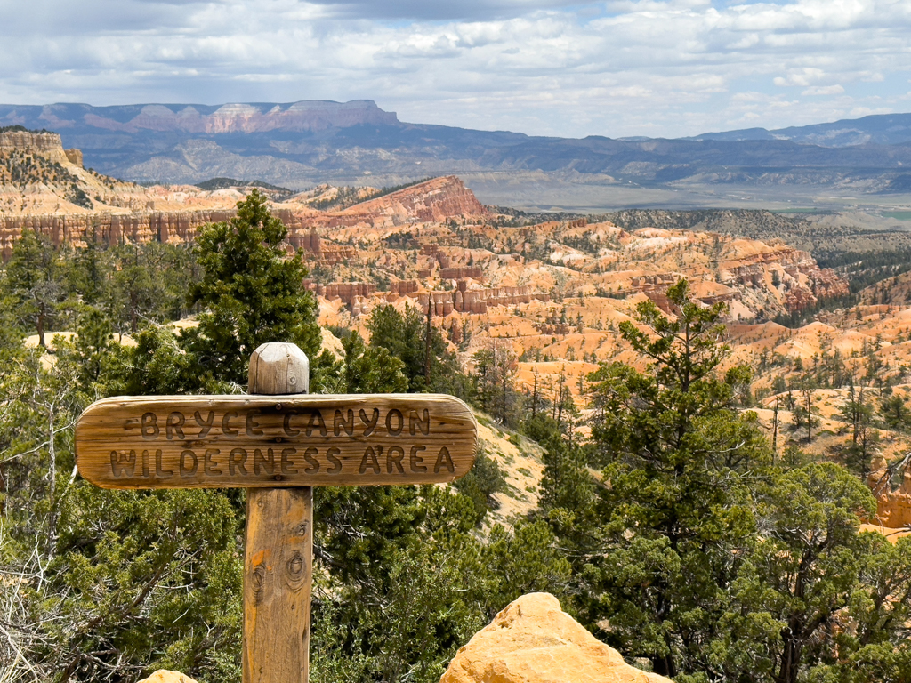 Bryce Canyon, Wilderness Area. So haben wir uns die Landschaft vorgestellt