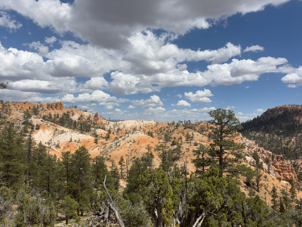 Dunkle Wolken ziehen über dem Bryce Canyon auf