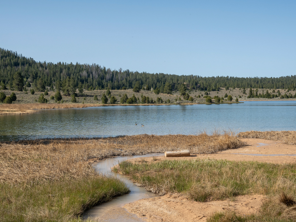 Jacob Lake der dem Campground seinen Namen gegeben hat