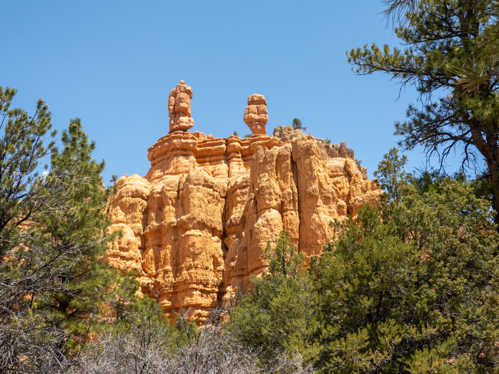 Auf der Wanderung durch den Red Canyon