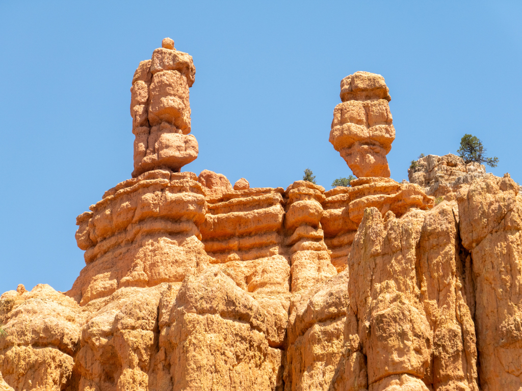 Auf der Wanderung durch den Red Canyon