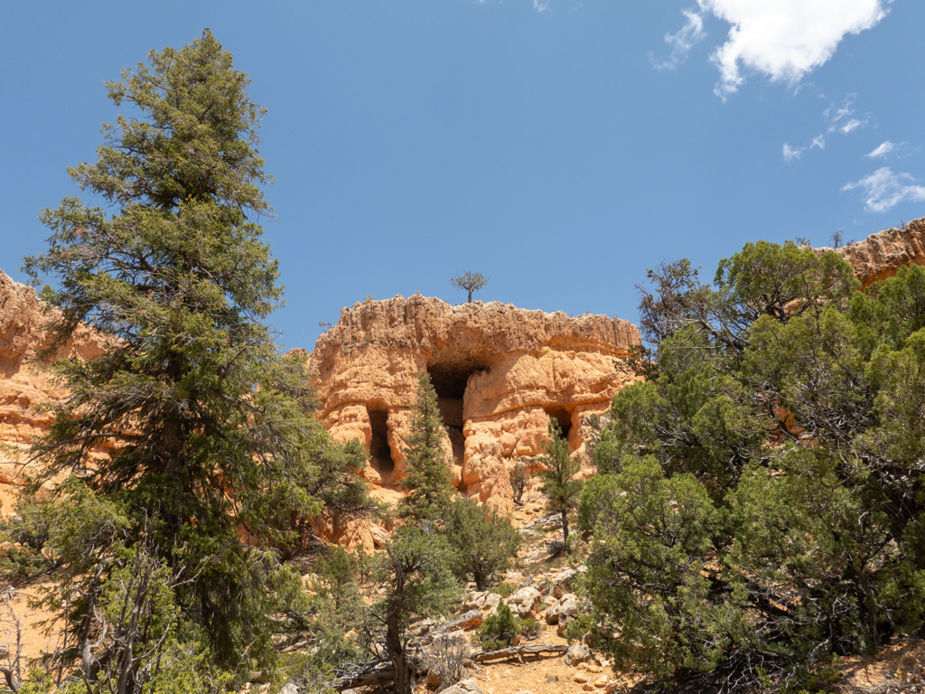 Auf der Wanderung durch den Red Canyon