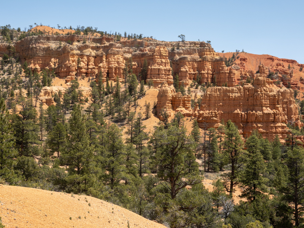 Auf der Wanderung durch den Red Canyon