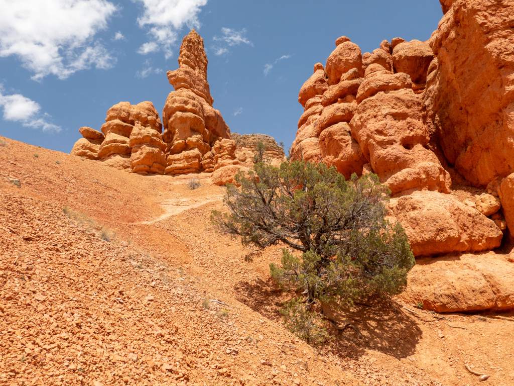 Auf der Wanderung durch den Red Canyon