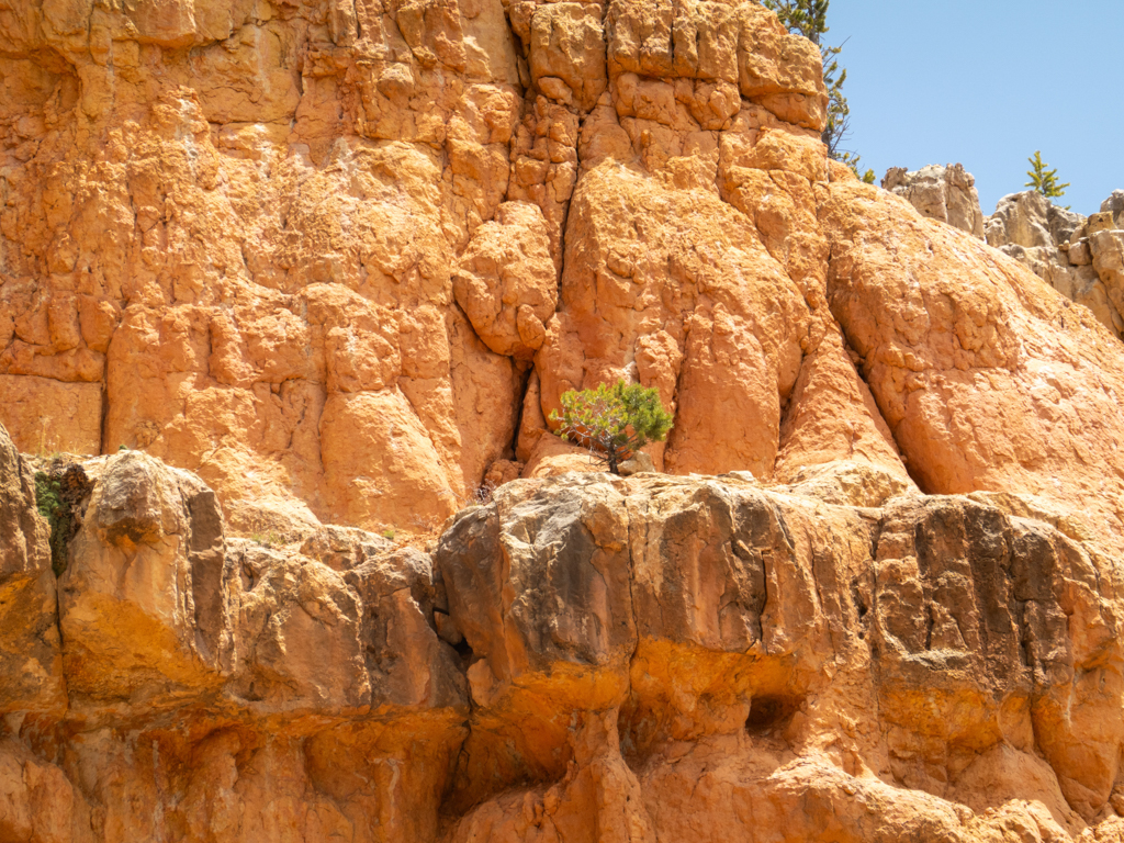 Auf der Wanderung durch den Red Canyon.