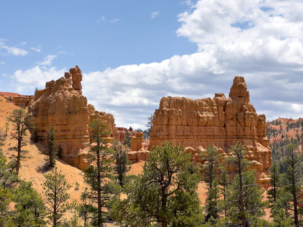 Auf der Wanderung durch den Red Canyon