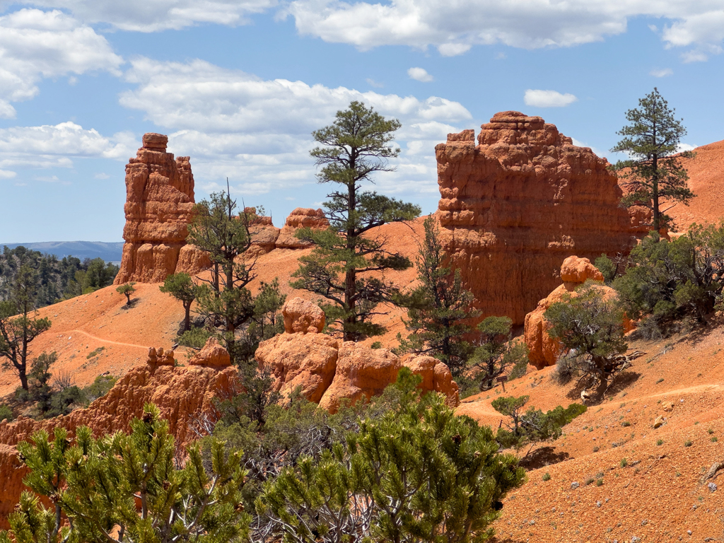 Auf der Wanderung durch den Red Canyon