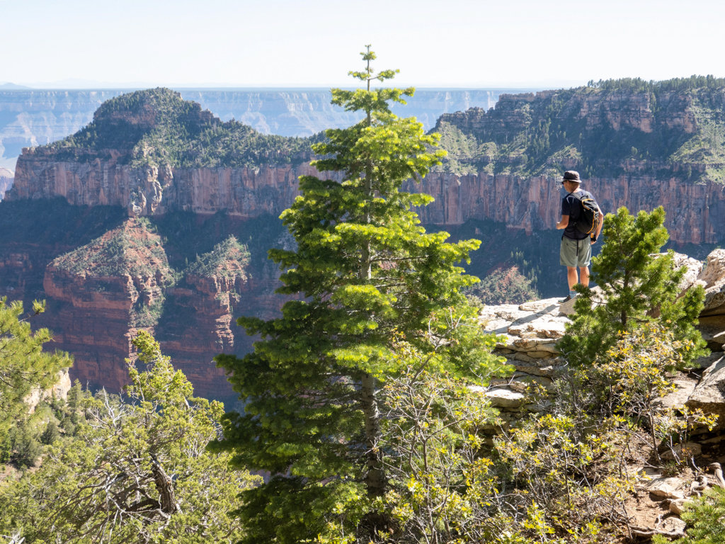 Jo blickt in den Grand Canyon hinab