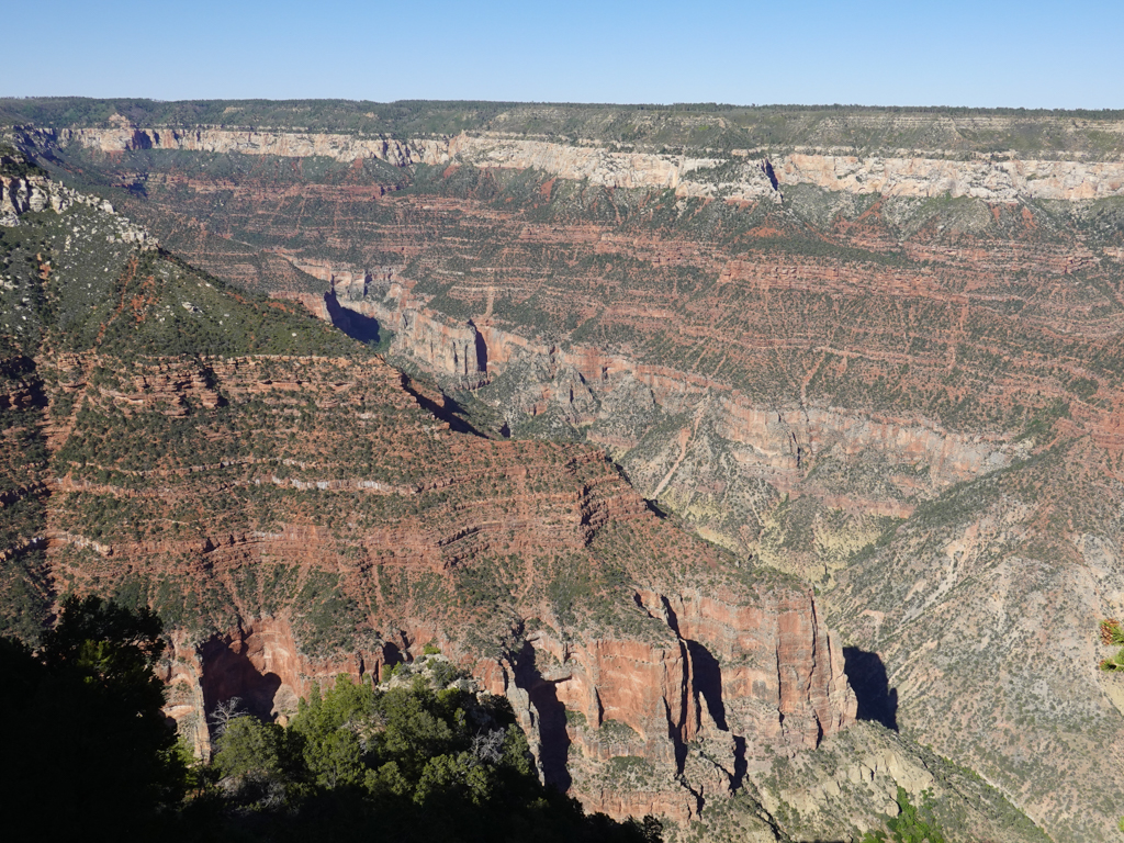 Blick vom North Rim in den gewaltigen Grand Canyon.