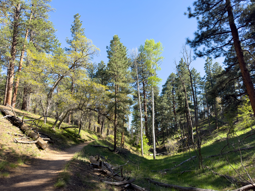 Auf dem Weg zum North Rim im Grand Canyon