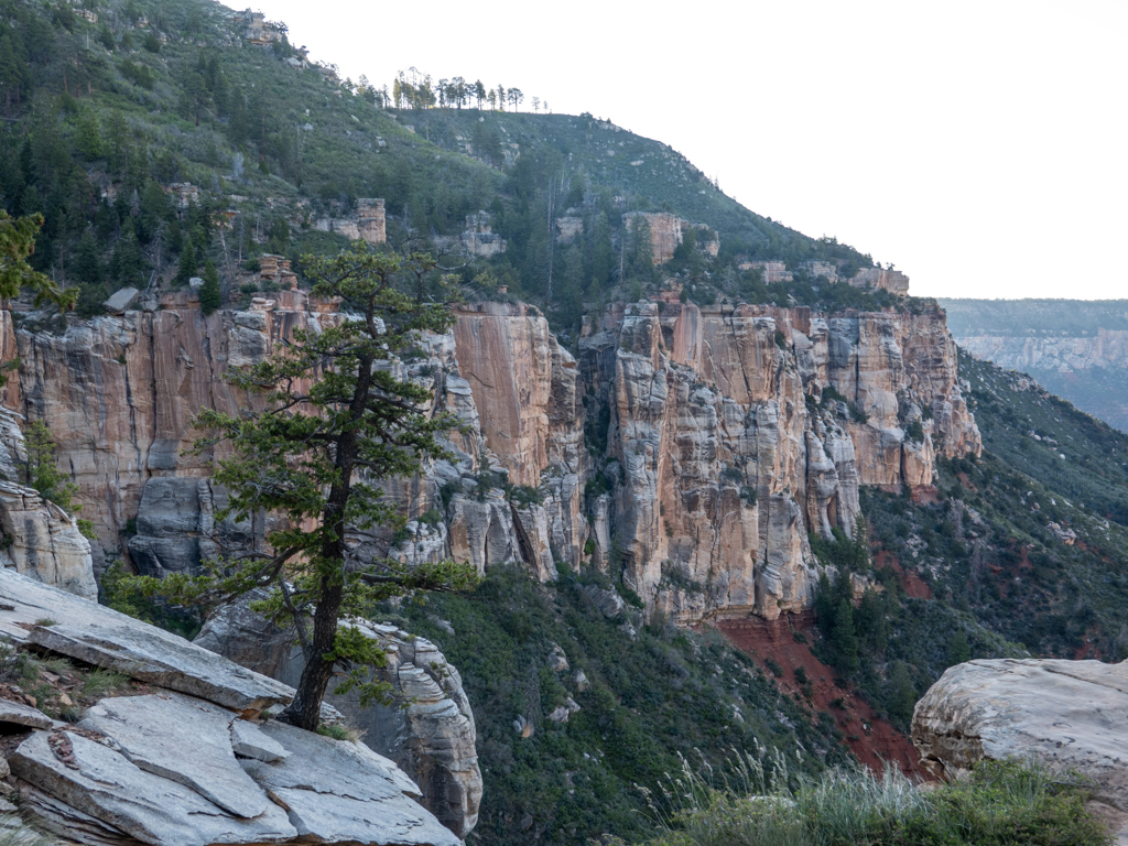 Abstieg am frühen Morgen auf dem North Kaibab Trail in den Grand Canyon