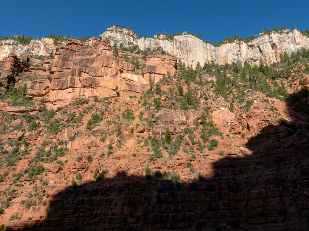 Sonne und Schatten an den Felswänden des Grand Canyons