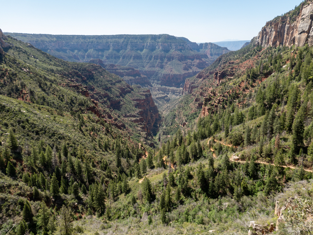 Wanderweg in den Canyon des Bright Angel Creeks im Grand Canyon