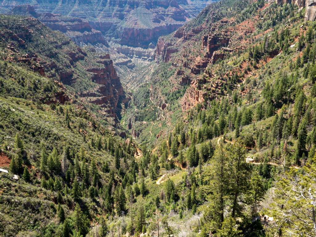 Wanderweg in den Canyon des Bright Angel Creeks im Grand Canyon