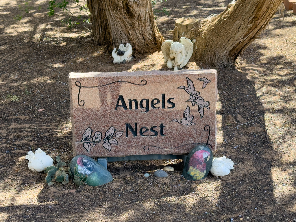 In Kanab besuchen JoMa das Animals Sanctuary. Hier am Angels Nest ruhen die liebgewonnen kleinen und grossen fliegenden Begleiter