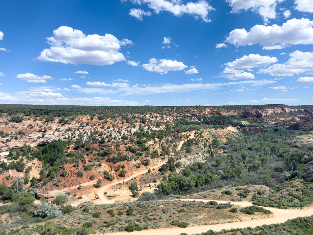 Blick auf die Landschaft um das Animal Sanctuary herum