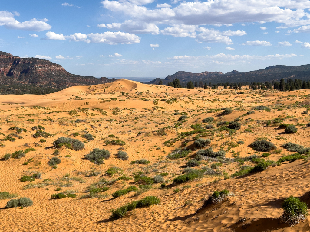 Wir lassen die Landschaft der Coral Pink Sand Dunes auf uns wirken