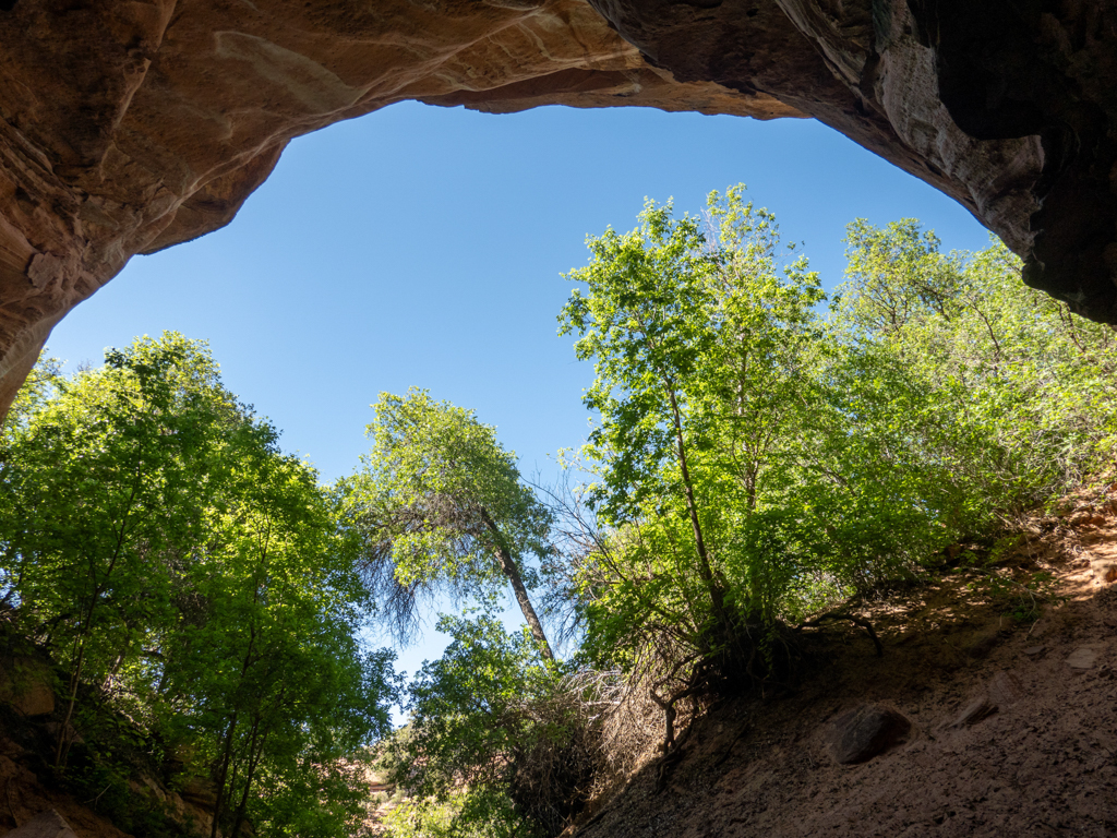 Blick zurück aus der Höhle des "Hidden Lake", Kanab