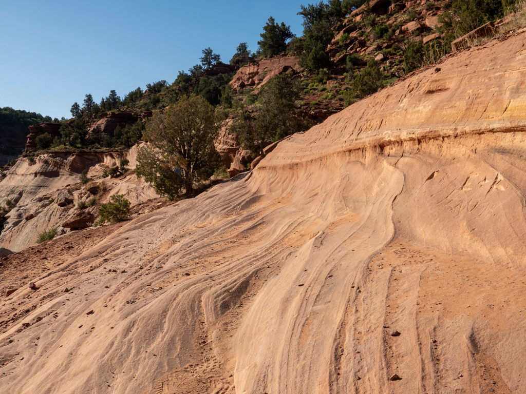 Wellenförmig abgeschliffene Felsen bei den Sand Caves in Kanab