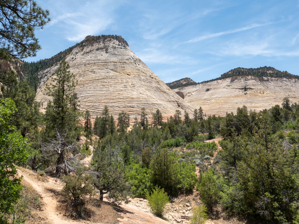 Im Zion Canyon angekommen, schon sind diese beeindruckenden Felswände um uns herum