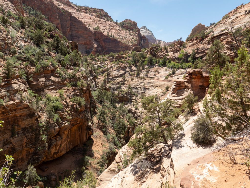 Auf einer ersten Wanderung zu einem Aussichtspunkt über den ganzen Zion NP