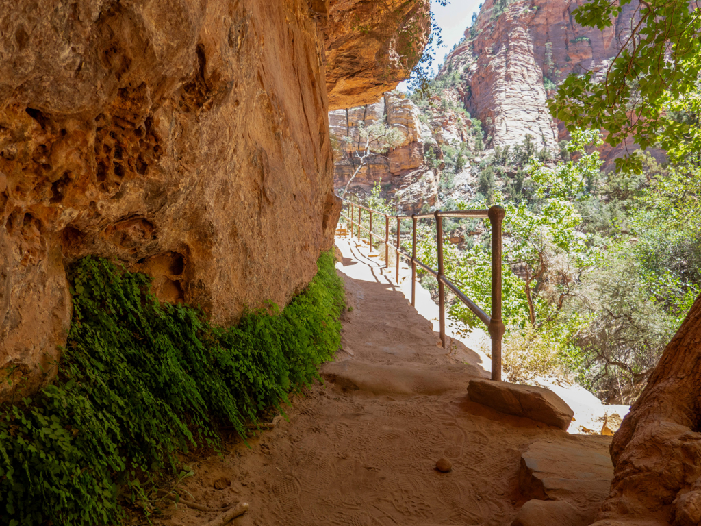 Auf einer ersten Wanderung zu einem Aussichtspunkt über den ganzen Zion NP