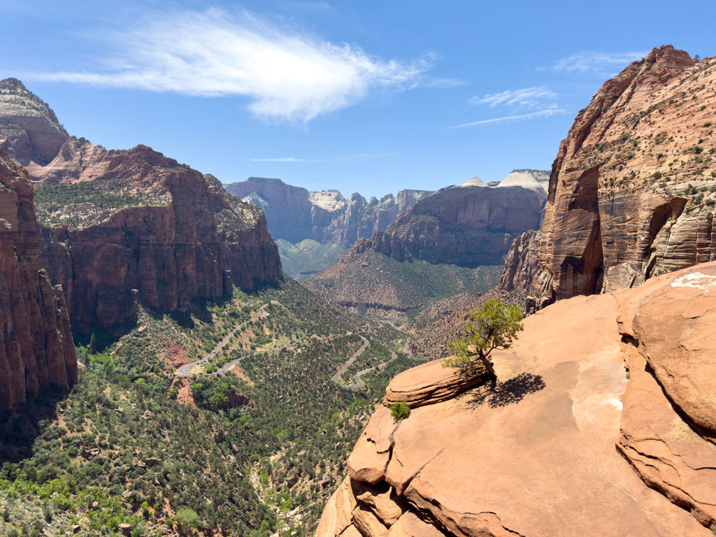 Ein weiter Blick über den Zion Canyon mit der Strasse die durch ihn führt