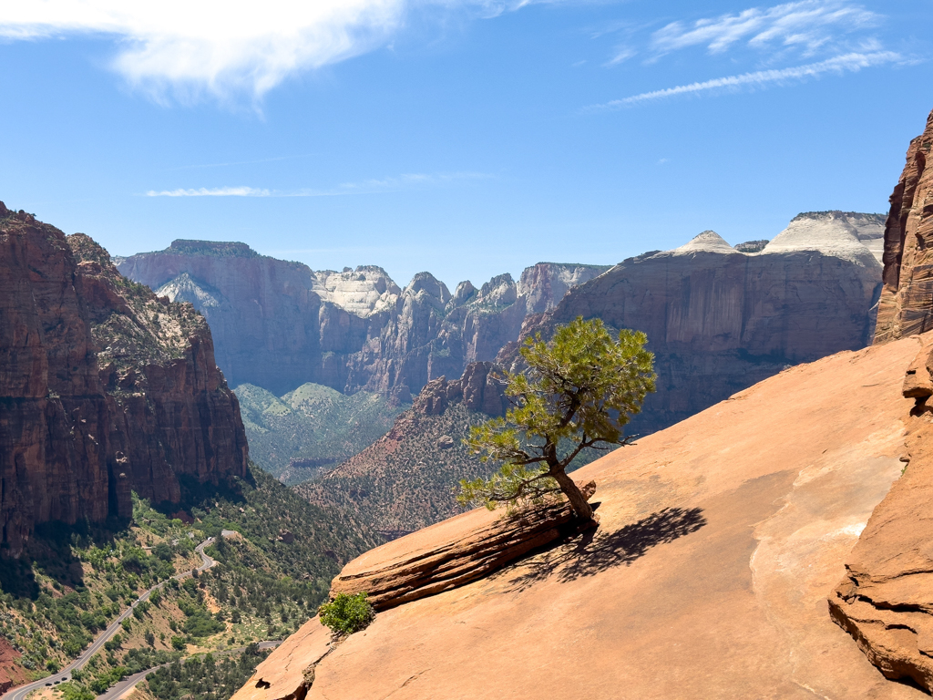 Ein weiter Blick über den Zion Canyon mit der Strasse die durch ihn führt