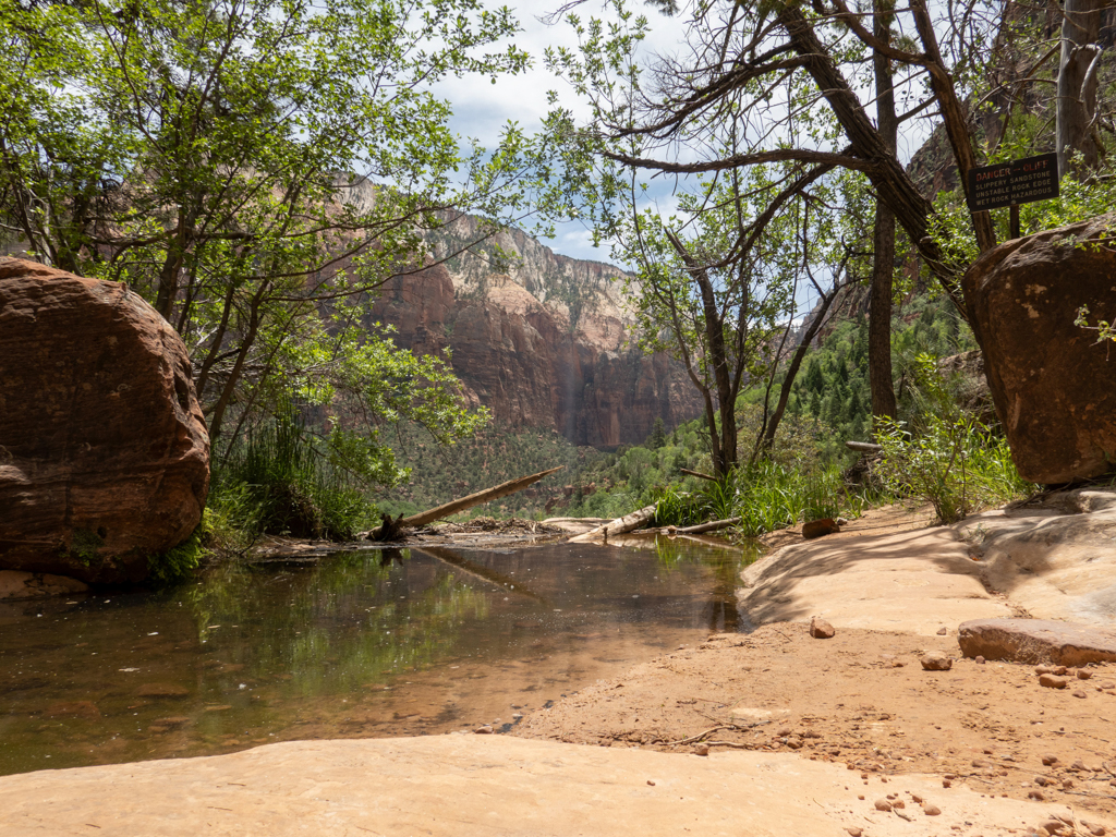 der friedlich dahin fliessende Virgin River im Talboden des Zion Canyon