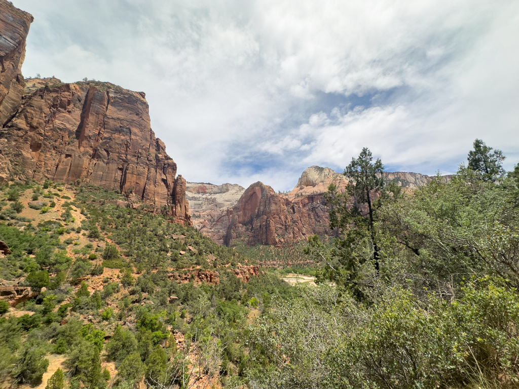 Immer wieder beeindruckend diese Natur. Nicht nur hier im Zion NP
