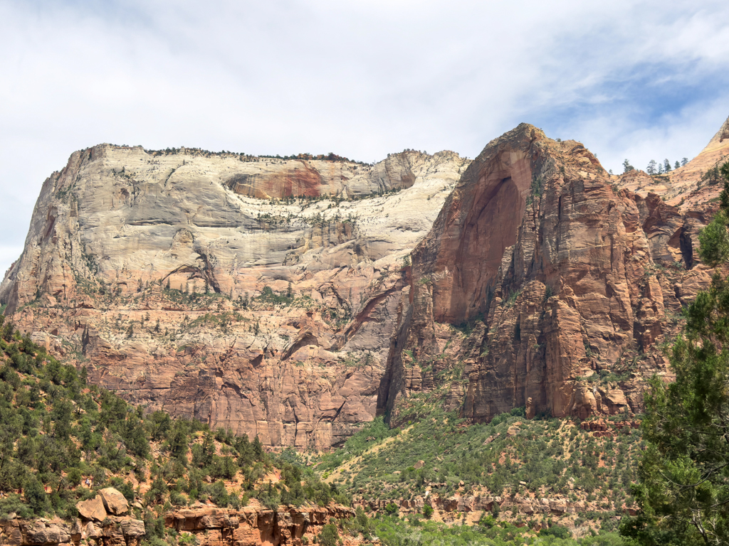 Immer wieder beeindruckend diese Natur. Nicht nur hier im Zion NP