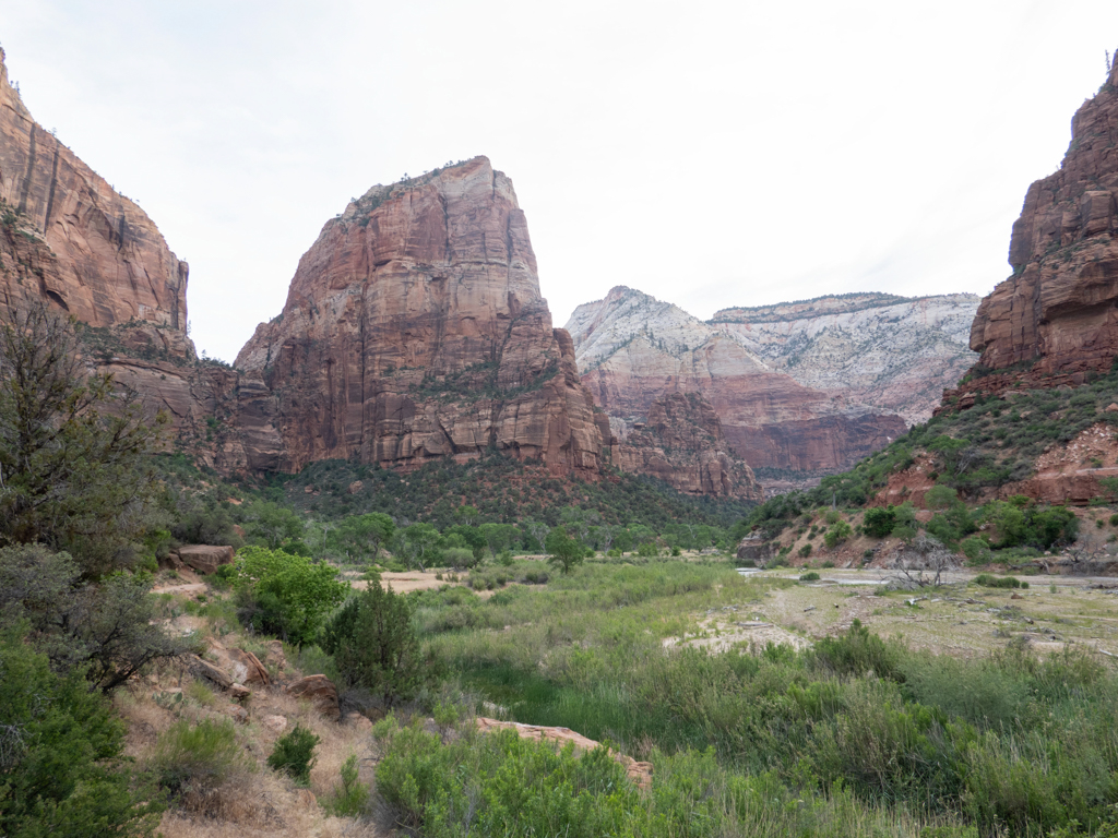 Unser Lotteriegewinn: Die Wanderung zu den Angels Landing