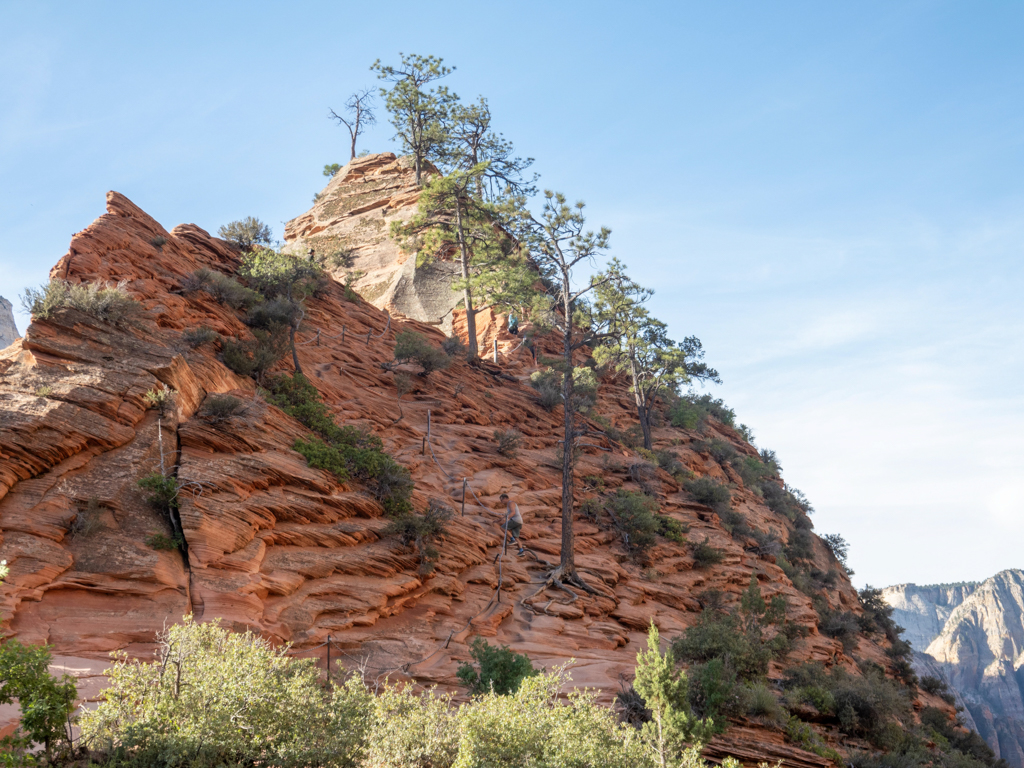 Jo macht sich das letzte Stück zu den Angels Landing alleine auf den Weg
