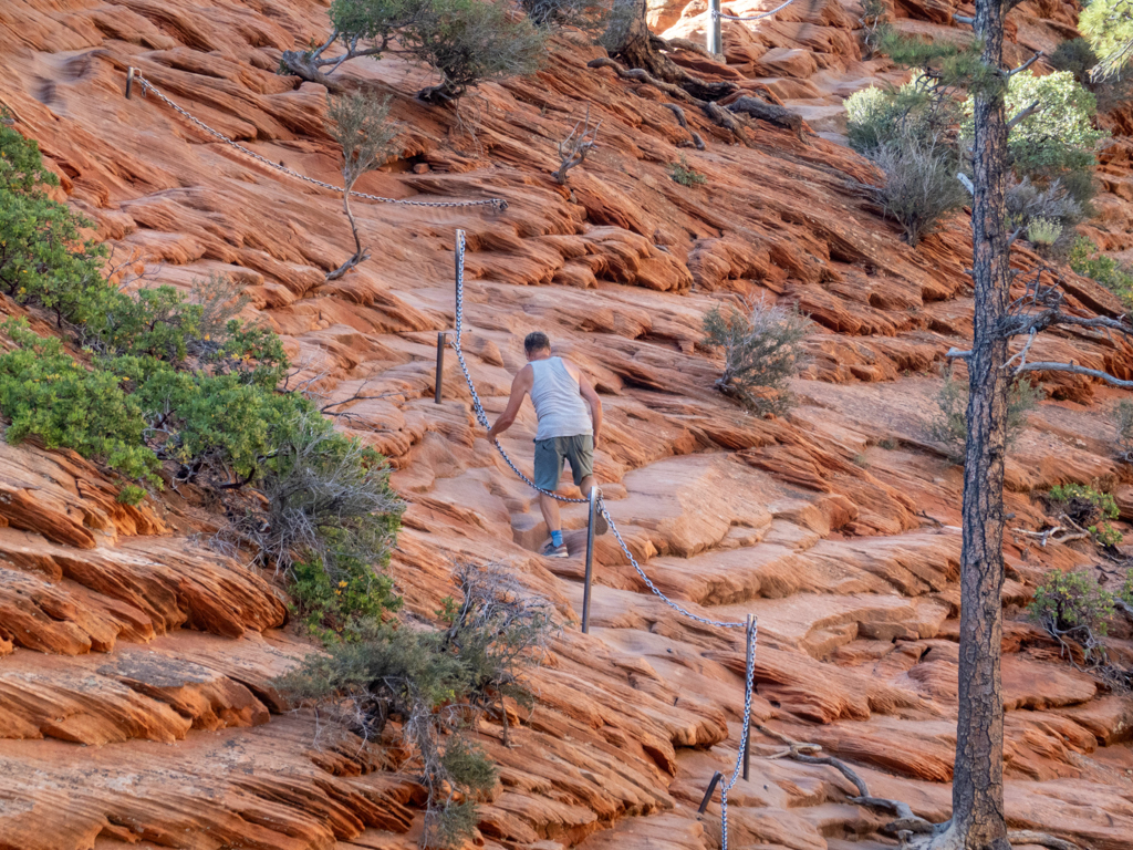 Jo macht sich das letzte Stück zu den Angels Landing alleine auf den Weg
