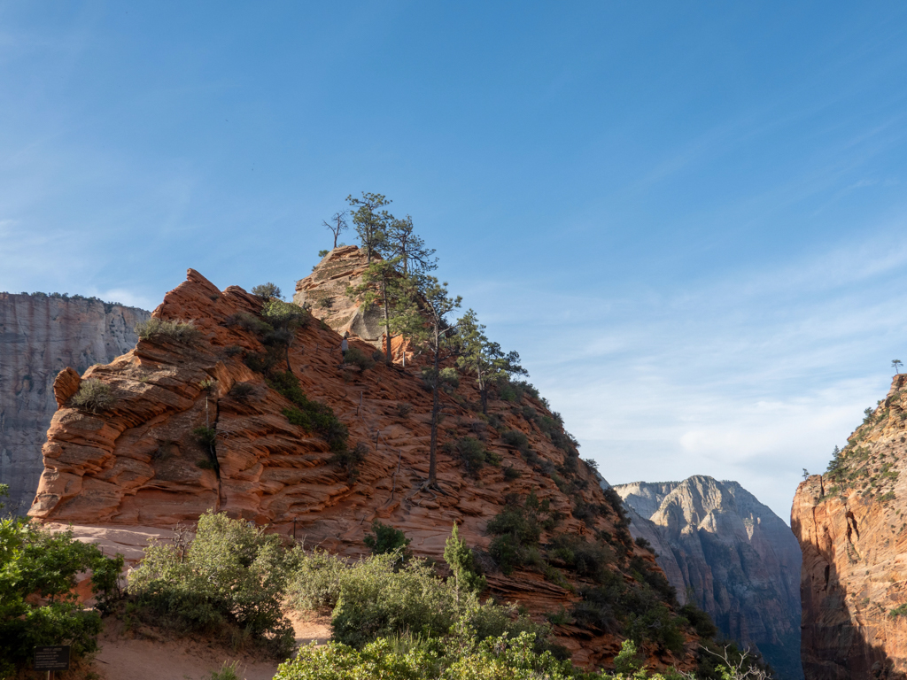 Jo macht sich das letzte Stück zu den Angels Landing alleine auf den Weg