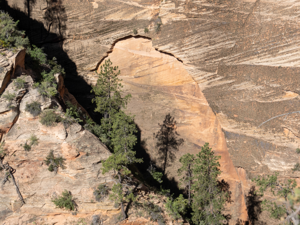 Bäume werfen Schatten auf die Felswand