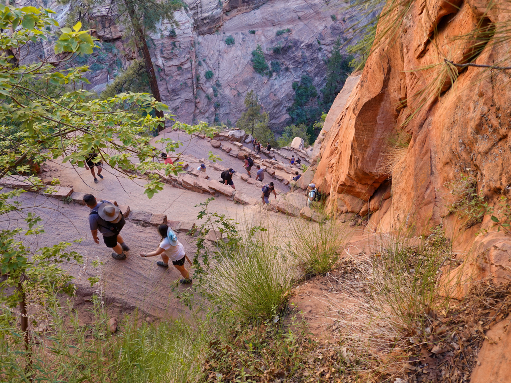 JoMa kommen retour von den Angels Landing. Eine Horde an Wanderern kommt ihnen entgegen....