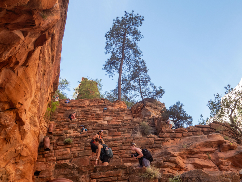 JoMa kommen retour von den Angels Landing. Eine Horde an Wanderern kommt ihnen entgegen und möchte nach oben